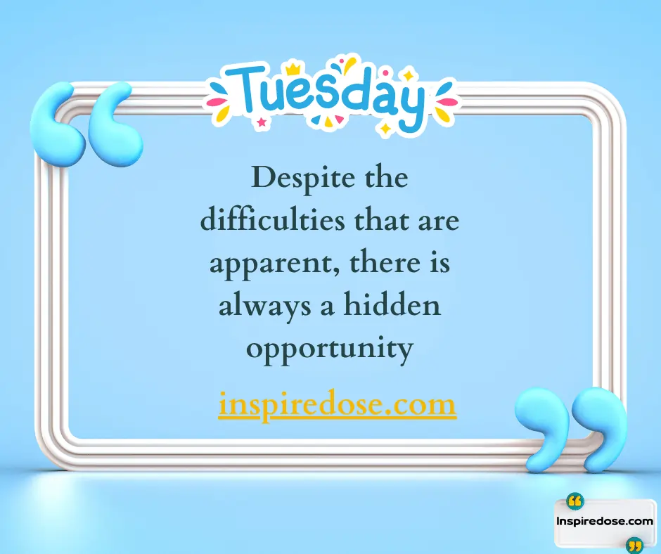 Funny Tuesday Quotes