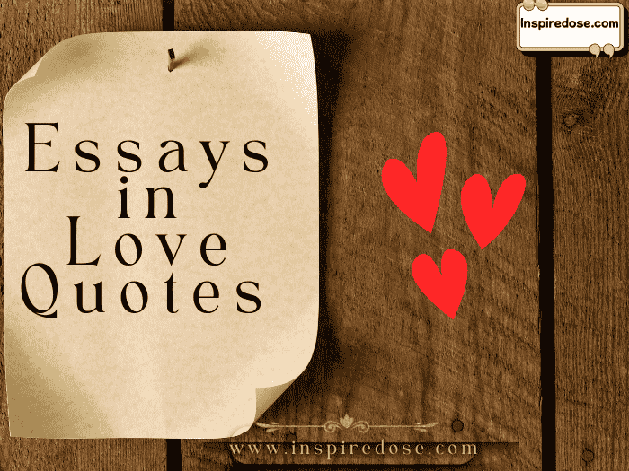 Essays in Love Quotes