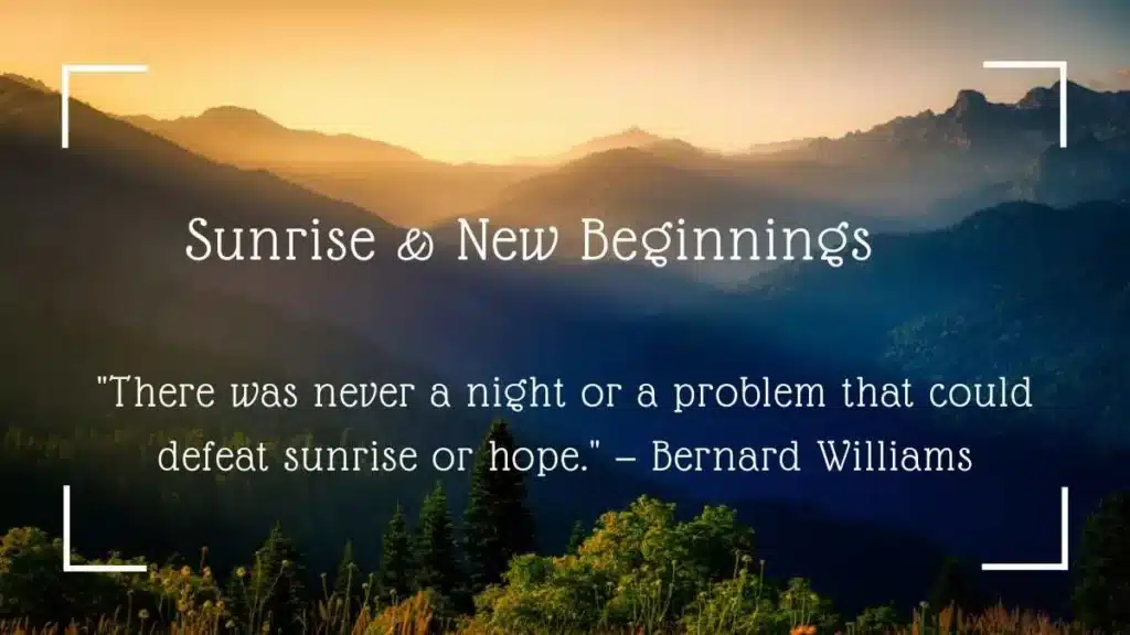 Sunrise New Beginnings
