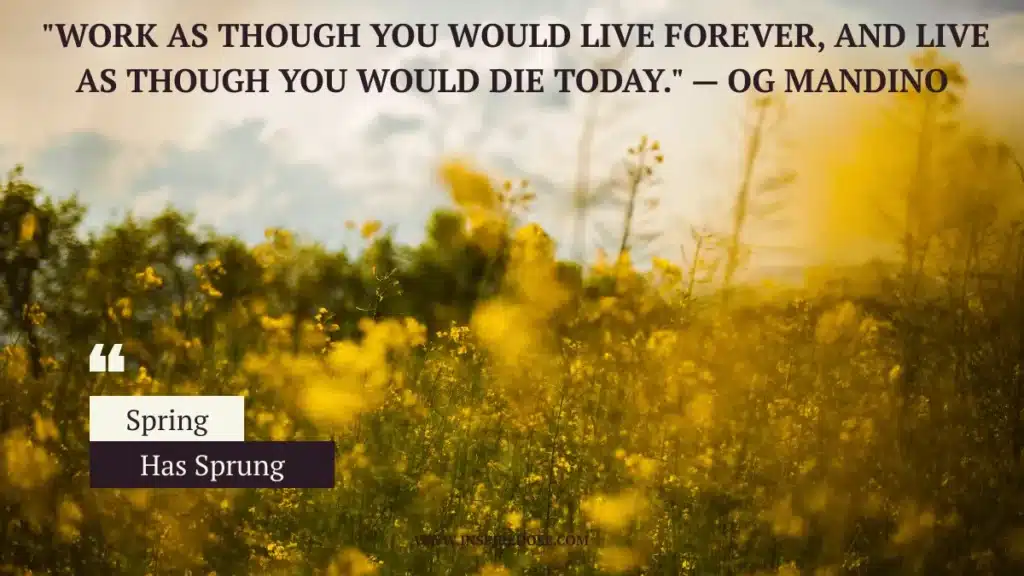 Sweet Good Morning 11