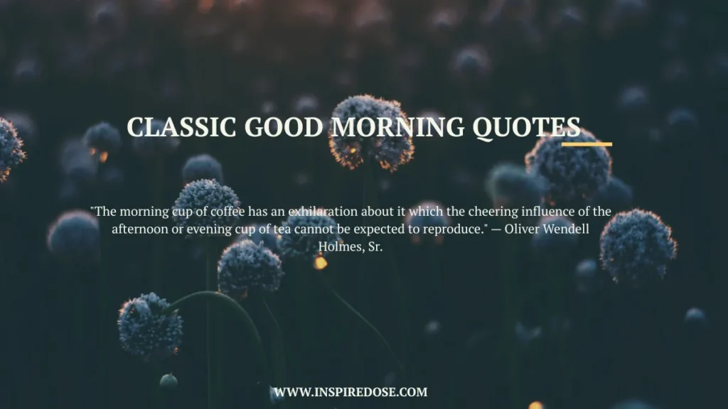 Sweet Good Morning 3