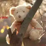 Teddy Day 2026