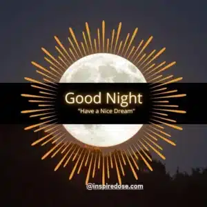 Good Night Quotes 6