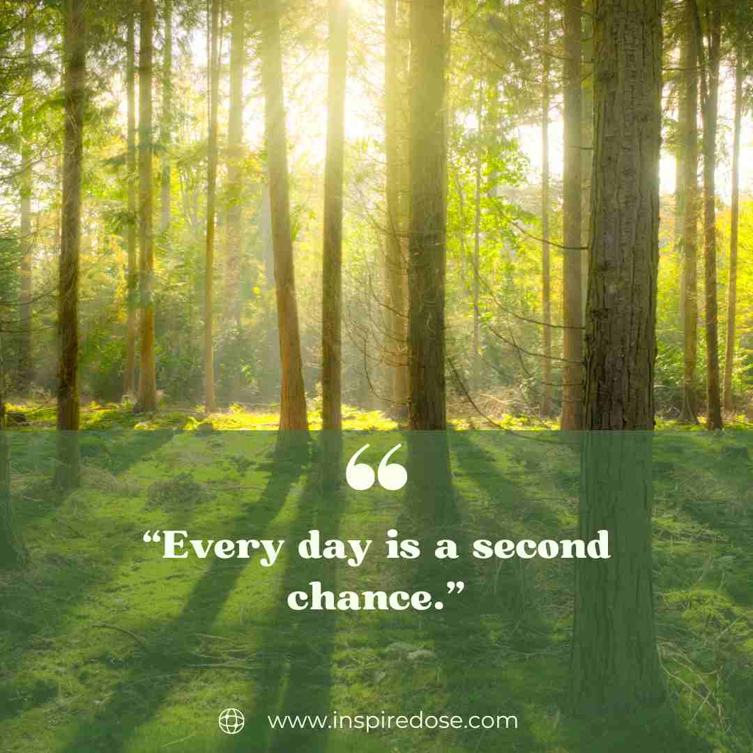 Life Quotes 2