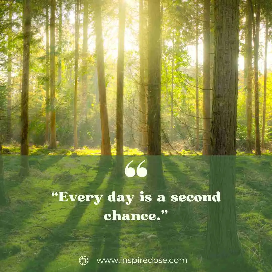 Life Quotes 2