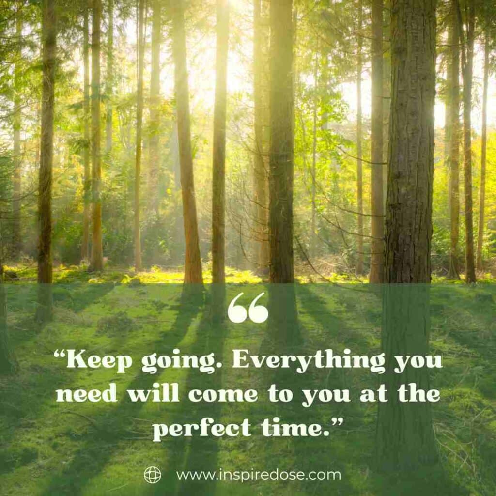 Life Quotes for Motivation 4