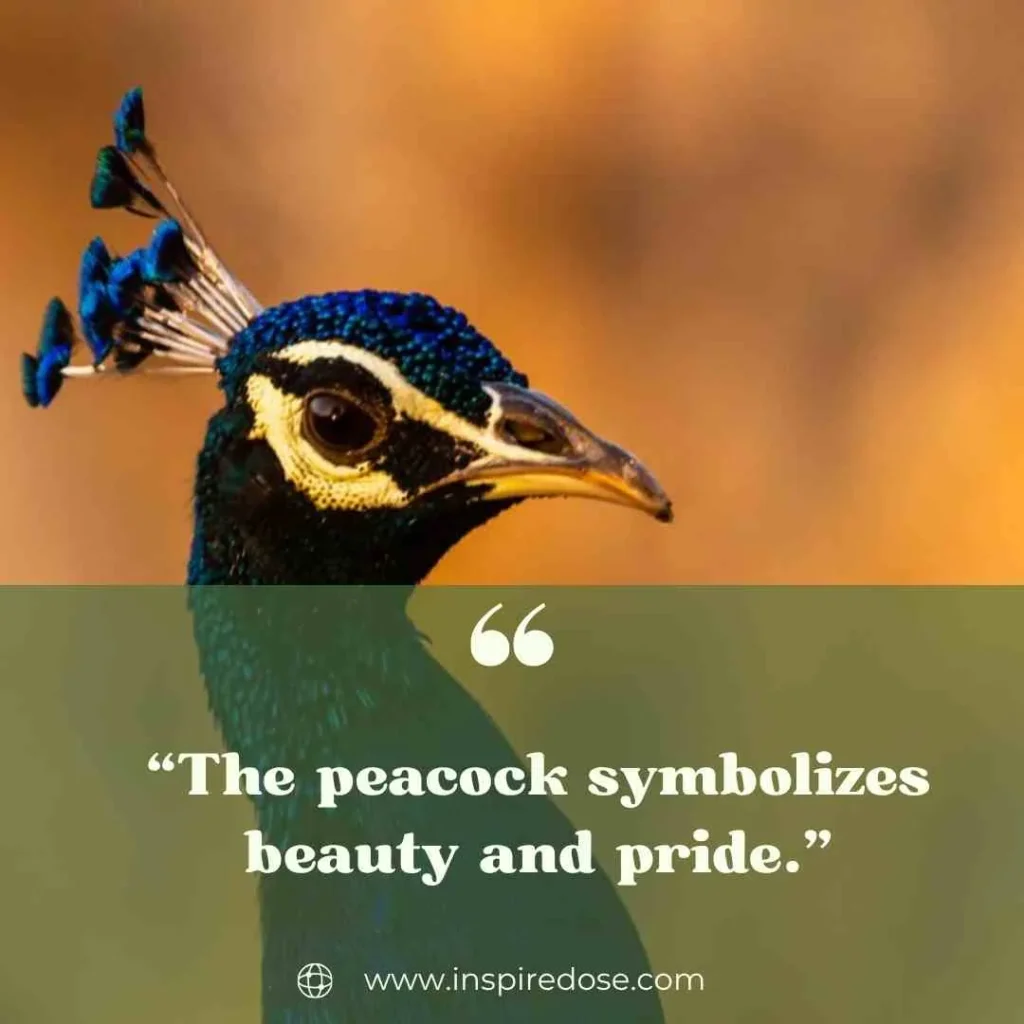 Nature & Symbolism Quotes 