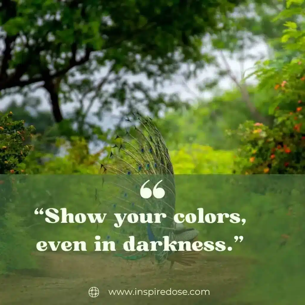  Motivational Peacock Quotes 