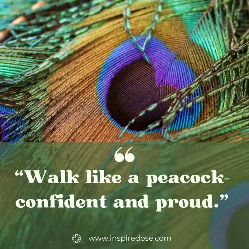 Peacock Attitude Quotes 
